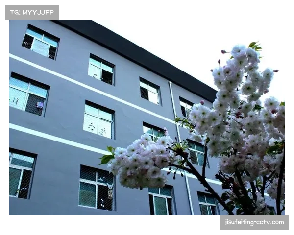 意甲与教育部联合发起“公平竞赛”校园课程，四月试点推广